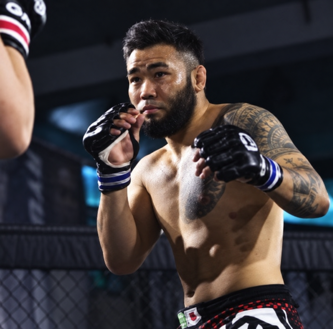 MMAの構えをとるフェルナンド・マツキ